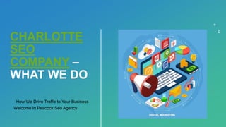 CHARLOTTE
SEO
COMPANY –
WHAT WE DO
How We Drive Traffic to Your Business
Welcome In Peacock Seo Agency
 