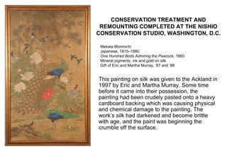 CONSERVATION TREATMENT AND
 REMOUNTING COMPLETED AT THE NISHIO
CONSERVATION STUDIO, WASHINGTON, D.C.

 Mekata Morimichi
 Japanese, 1815–1880
 One Hundred Birds Admiring the Peacock, 1860
 Mineral pigments, ink and gold on silk
 Gift of Eric and Martha Murray, ’87 and ’88


This painting on silk was given to the Ackland in
1997 by Eric and Martha Murray. Some time
before it came into their possession, the
painting had been crudely pasted onto a heavy
cardboard backing which was causing physical
and chemical damage to the painting. The
work’s silk had darkened and become brittle
with age, and the paint was beginning the
crumble off the surface.
 