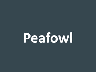Peafowl
 