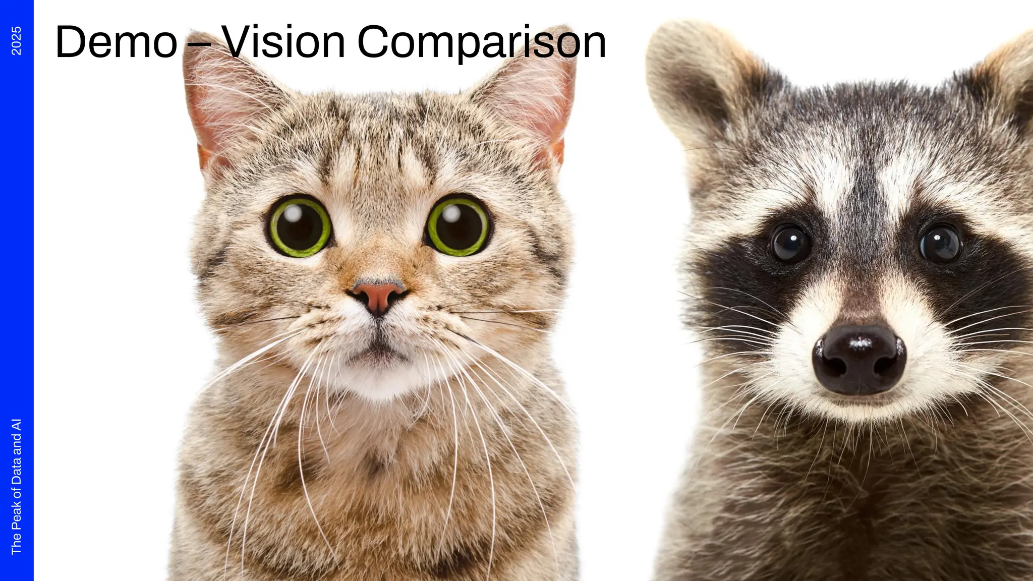 2025
The
Peak
of
Data
and
AI
Demo – Vision Comparison
 