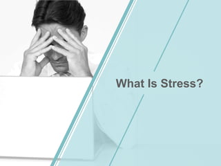 What Is Stress?
 