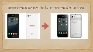 開発者向けに製造された「Peak」を一般向けに改良したモデル

 