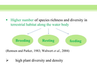 Species diversity and abundance of avifauna in and around an urbanized ...