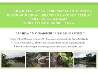 SPECIES DIVERSITY AND ABUNDANCE OF AVIFAUNA
IN AND AROUND AN URBANIZED LAKE SITUATED AT
PERALANDA - RAGAMA,
NORTH COLOMBO- SRI LANKA
E.I.P.SILVA , M.C.PRABHATH , A.R.SUMANARATHNE
Faculty of Applied Sciences, University of Sri Jayewardenepura, Gangodawila, Nugegoda, Sri Lanka
Faculty of Natural Science, The Open University of Sri Lanka, Nawala, Nugegoda, Sri Lanka
South Asian Astrobiology & Palaeobiology Research Unit of Eco Astronomy Sri Lanka
1,3 1 2,3
1
2
3
 