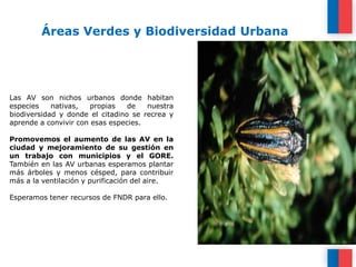  Refundación de la Red de Eco-Educadores, en conjunto con Fundación Casa de la Paz, instancia de diálogo e intercambio de experiencias que busca apoyar a los educadores del SNCAE en materias de educación ambientalPolítica Nacional de Educación para el Desarrollo Sustentable	Mesas de trabajo: Mesa Regional de EDS (ampliada) y Sub-mesa de Empresas por la Educación para la Sustentabiliad (MEES) Principales hitos 2011: 2 reuniones de la Mesa Regional. D