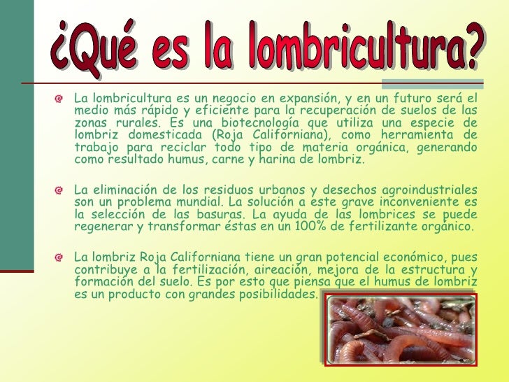 10 régimen del día para el adelgazamiento a 10 kg