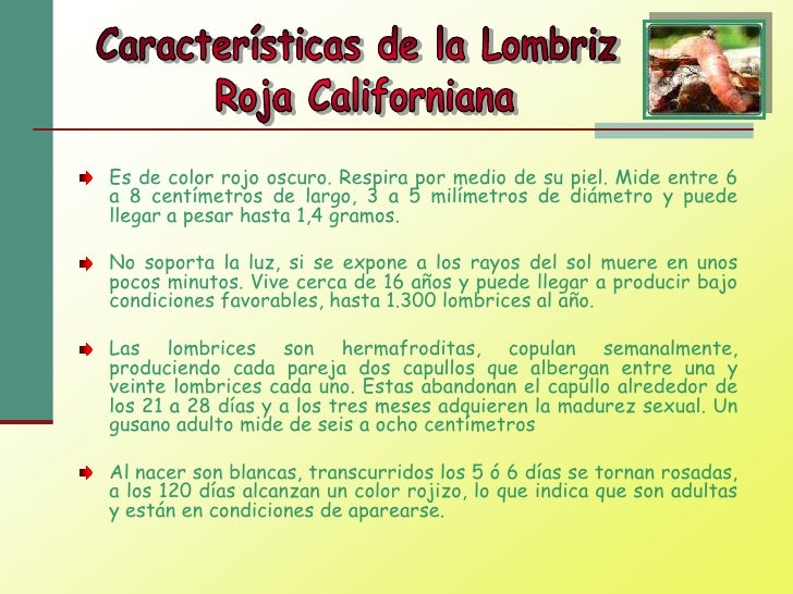 Korostyany sverbun el parásito