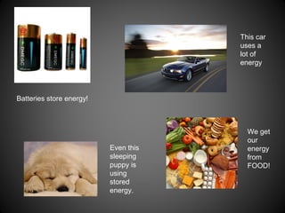 Batteries store energy!
This car
uses a
lot of
energy
We get
our
energy
from
FOOD!
Even this
sleeping
puppy is
using
stored
energy.
 