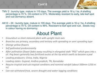 Cont’d
TMV 2 : bunchy type, mature in 115 days. The average yield is 16 q / ha. A shelling
percentage is 70 %. Oil content is 51%. Moderately resistant to early, late leaf spot
and rust dormancy absent.
AK12 – 24 : bunchy type, mature in 105 days. The average yield is 16 q / ha. A shelling
percentage is 70 %. Oil content is 48%. Resistant to leaf spot and rust , Seeds rosy
in colour having no dormancy.
About Plant
• Groundnut us short statured plant with upright main axis
• Branches are primary, secondary and tertiary with spreading or semi spreading type
• Orange yellow flowers
• Self pollinated predominantly
• After pollination flower fades away resulting in elongated stalk “PEG” which goes into s
oil. Peg bears generally two fertilized ovules at the tip which swells to become a pod
• Leading producers: China, India, Nigeria
• Leading states: Gujarat, Andhra pradesh, TN, Karnataka
• Require tropical and sub tropical conditons and nominal rainfall (about 500mm-1250 m
m)
• Can not withstand frost, severe drought and water logging conditions
 