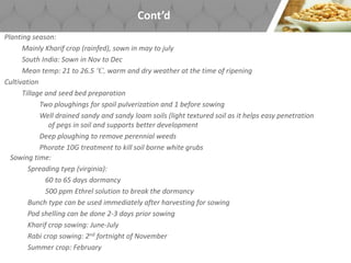 Cont’d
Planting season:
Mainly Kharif crop (rainfed), sown in may to july
South India: Sown in Nov to Dec
Mean temp: 21 to 26.5 ºC, warm and dry weather at the time of ripening
Cultivation
Tillage and seed bed preparation
Two ploughings for spoil pulverization and 1 before sowing
Well drained sandy and sandy loam soils (light textured soil as it helps easy penetration
of pegs in soil and supports better development
Deep ploughing to remove perennial weeds
Phorate 10G treatment to kill soil borne white grubs
Sowing time:
Spreading tyep (virginia):
60 to 65 days dormancy
500 ppm Ethrel solution to break the dormancy
Bunch type can be used immediately after harvesting for sowing
Pod shelling can be done 2-3 days prior sowing
Kharif crop sowing: June-July
Rabi crop sowing: 2nd fortnight of November
Summer crop: February
 