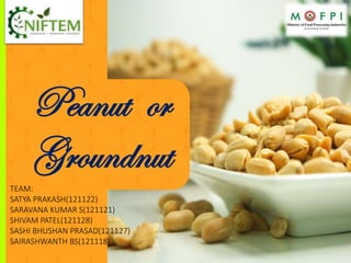 Peanut or
Groundnut
TEAM:
SATYA PRAKASH(121122)
SARAVANA KUMAR S(121121)
SHIVAM PATEL(121128)
SASHI BHUSHAN PRASAD(121127)
SAIRASHWANTH BS(121118)
 