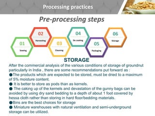 Processing practices
Pre-processing steps
Sowing
01
Harvesting
02
Cleaning
03
De coating
04
Packaging
05
Storage
06
STORAGE
After the commercial analysis of the various conditions of storage of groundnut
particularly in India , there are some recommendations put forward as :
●The products which are expected to be stored, must be dried to a maximum
of 5% moisture content.
● It is better to store as pods than as kernels.
● The caking up of the kernels and devastation of the gunny bags can be
avoided by using dry sand bedding to a depth of about 1 foot covered by
hessa cloth rather than storing in hard floor/bedding materials.
●Bins are the best choices for storage
● Miniature warehouses with natural ventilation and semi-underground
storage can be utilized.
 
