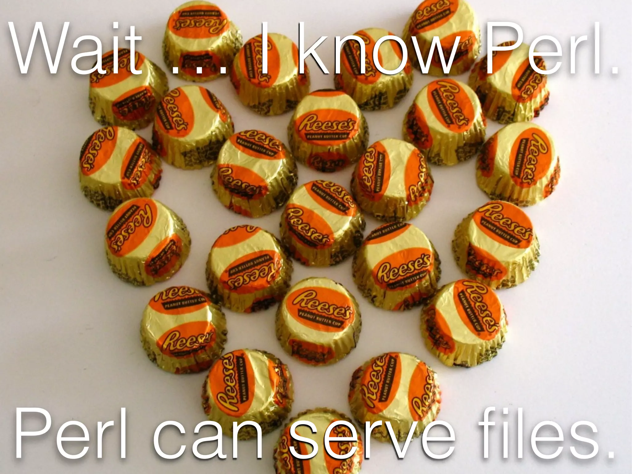 Wait … I know Perl.
Perl can serve ﬁles.
 