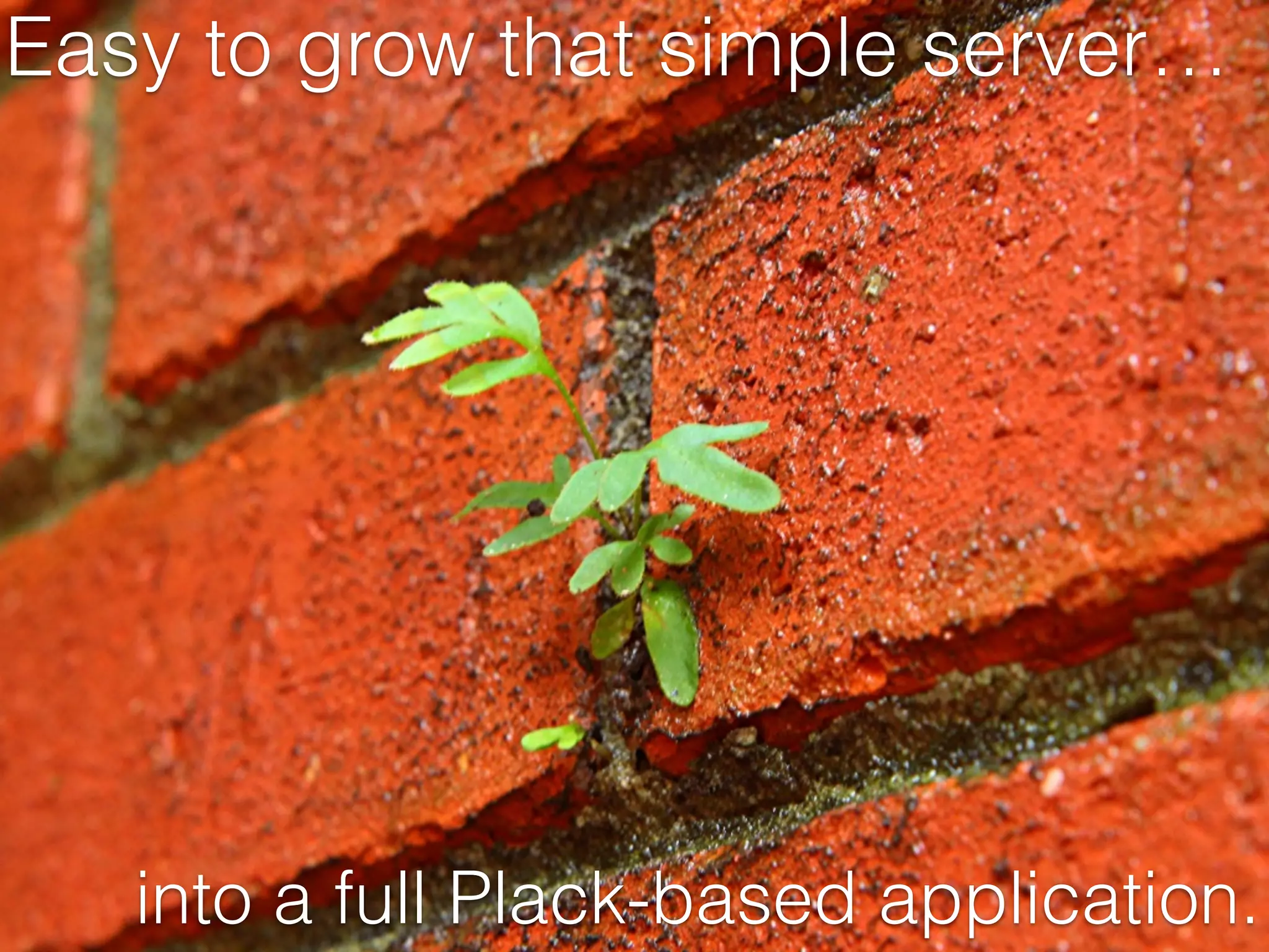 Easy to grow that simple server…
into a full Plack-based application.
 