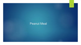Peanut Meal
1
 