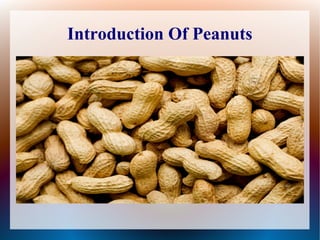 Introduction Of Peanuts
 