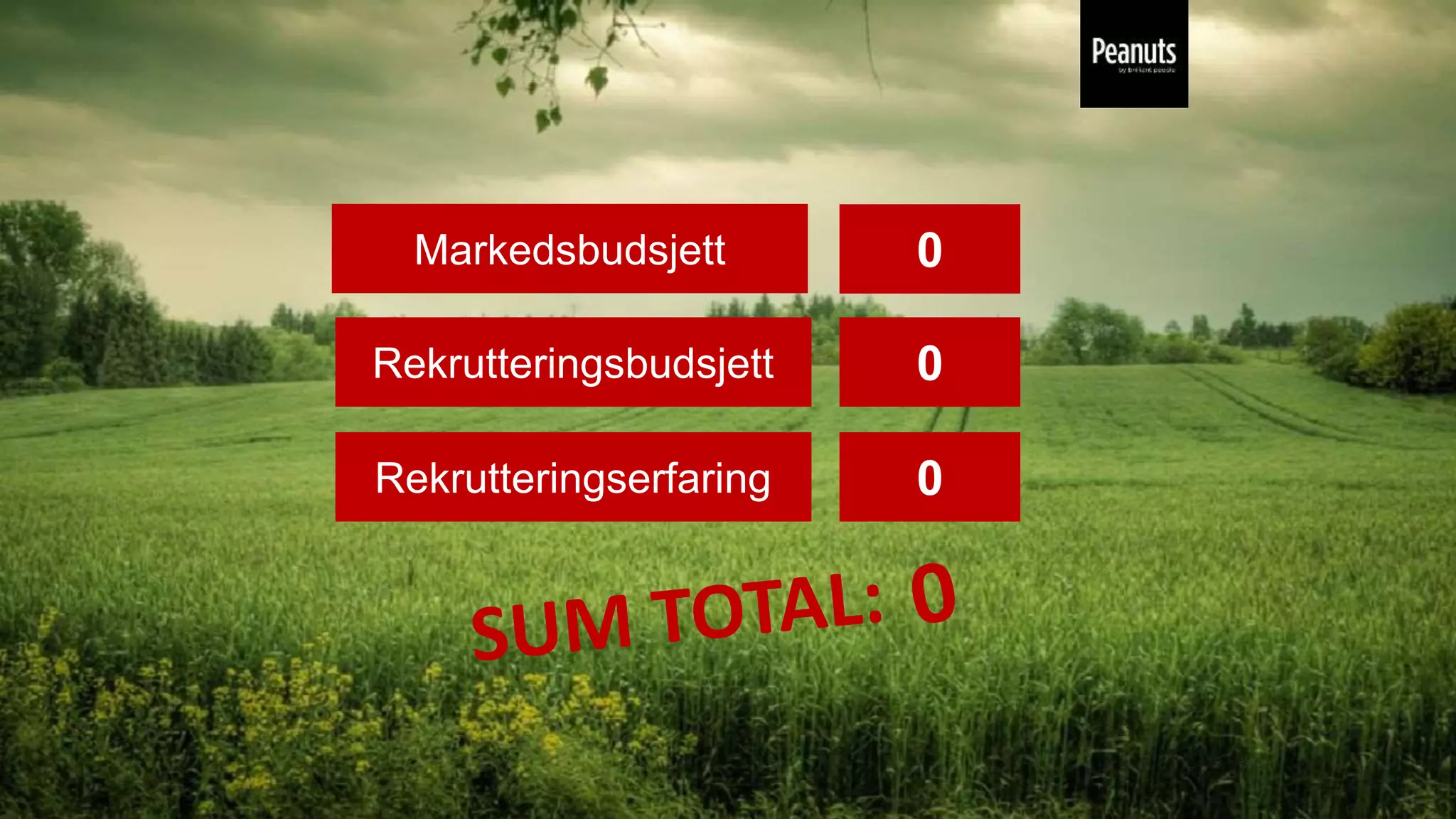 Markedsbudsjett 0
Rekrutteringsbudsjett 0
Rekrutteringserfaring 0
 