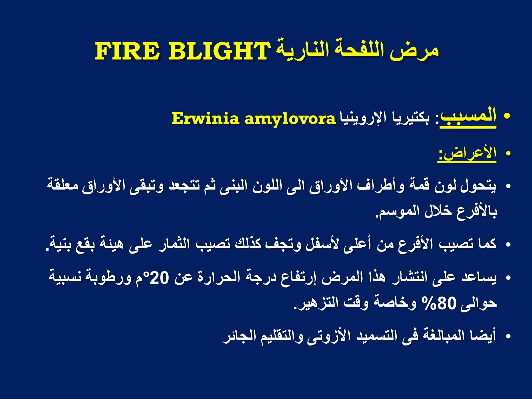 ‫انىاسيت‬ ‫انهفذت‬ ‫مشض‬
FIRE BLIGHT
•
‫المسبب‬
:
‫اإلروٌنٌا‬ ‫بكتٌرٌا‬
Erwinia amylovora
•
‫األعراض‬
:
•
‫معلقة‬ ‫األوراق‬ ‫وتبقى‬ ‫تتجعد‬ ‫ثم‬ ‫البنى‬ ‫اللون‬ ‫الى‬ ‫األوراق‬ ‫وأطراؾ‬ ‫قمة‬ ‫لون‬ ‫ٌتحول‬
‫الموسم‬ ‫خالل‬ ‫باألفرع‬
.
•
‫بنٌة‬ ‫بقع‬ ‫هٌئة‬ ‫على‬ ‫الثمار‬ ‫تصٌب‬ ‫كذلك‬ ‫وتجؾ‬ ‫ألسفل‬ ‫أعلى‬ ‫من‬ ‫األفرع‬ ‫تصٌب‬ ‫كما‬
.
•
‫عن‬ ‫الحرارة‬ ‫درجة‬ ‫إرتفاع‬ ‫المرض‬ ‫هذا‬ ‫انتشار‬ ‫على‬ ‫ٌساعد‬
20
º
‫نسبٌة‬ ‫ورطوبة‬ ‫م‬
‫حوالى‬
80
%
‫التزهٌر‬ ‫وقت‬ ‫وخاصة‬
.
•
‫الجائر‬ ‫والتقلٌم‬ ‫األزوتى‬ ‫التسمٌد‬ ‫فى‬ ‫المبالؽة‬ ‫أٌضا‬
 