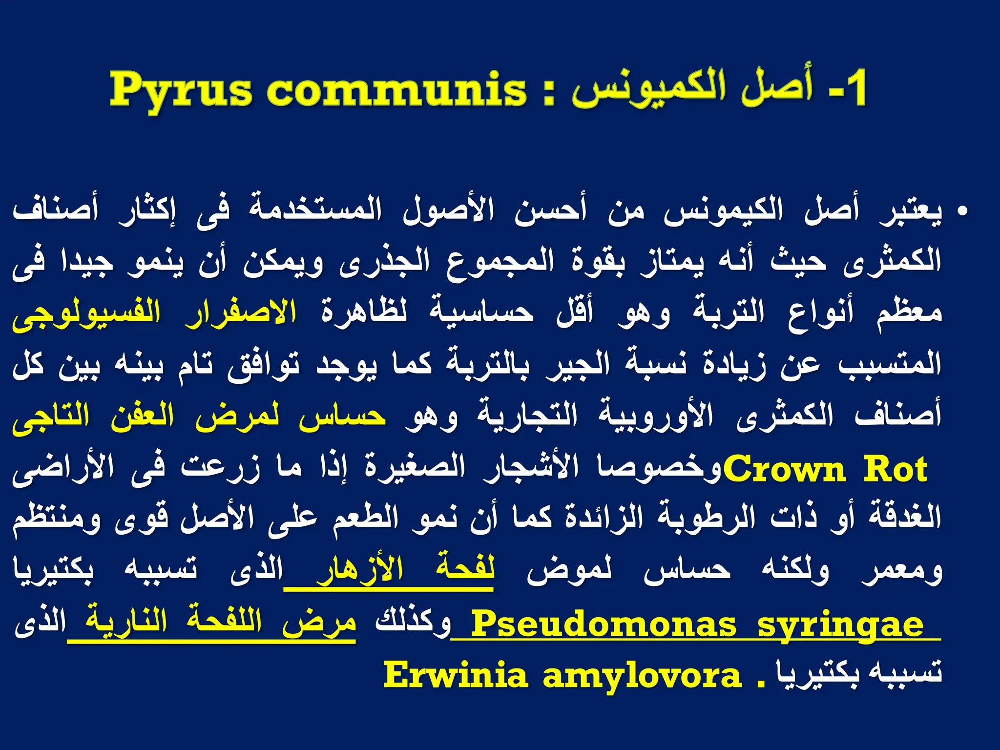 •
‫ٌعتبر‬
‫أصل‬
‫الكٌمونس‬
‫من‬
‫أحسن‬
‫األصول‬
‫المستخدمة‬
‫فى‬
‫إكثار‬
‫أصناؾ‬
‫الكمثرى‬
‫حٌث‬
‫أنه‬
‫ٌمتاز‬
‫بقوة‬
‫المجموع‬
‫الجذرى‬
‫وٌمكن‬
‫أن‬
‫ٌنمو‬
‫جٌدا‬
‫فى‬
‫معظم‬
‫أنواع‬
‫التربة‬
‫وهو‬
‫أقل‬
‫حساسٌة‬
‫لظاهرة‬
‫االصفرار‬
‫الفسٌولوجى‬
‫المتسبب‬
‫عن‬
‫زٌادة‬
‫نسبة‬
‫الجٌر‬
‫بالتربة‬
‫كما‬
‫ٌوجد‬
‫توافق‬
‫تام‬
‫بٌنه‬
‫بٌن‬
‫كل‬
‫أصناؾ‬
‫الكمثرى‬
‫األوروبٌة‬
‫التجارٌة‬
‫وهو‬
‫حساس‬
‫لمرض‬
‫العفن‬
‫التاجى‬
Crown Rot
‫وخصوصا‬
‫األشجار‬
‫الصؽٌرة‬
‫إذا‬
‫ما‬
‫زرعت‬
‫فى‬
‫األراضى‬
‫الؽدقة‬
‫أو‬
‫ذات‬
‫الرطوبة‬
‫الزائدة‬
‫كما‬
‫أن‬
‫نمو‬
‫الطعم‬
‫على‬
‫األصل‬
‫قوى‬
‫ومنتظم‬
‫ومعمر‬
‫ولكنه‬
‫حساس‬
‫لموض‬
‫لفحة‬
‫األزهار‬
‫الذى‬
‫تسببه‬
‫بكتٌرٌا‬
syringae
Pseudomonas
‫وكذلك‬
‫مرض‬
‫اللفحة‬
‫النارٌة‬
‫الذى‬
‫تسببه‬
‫بكتٌرٌا‬
Erwinia amylovora .
 