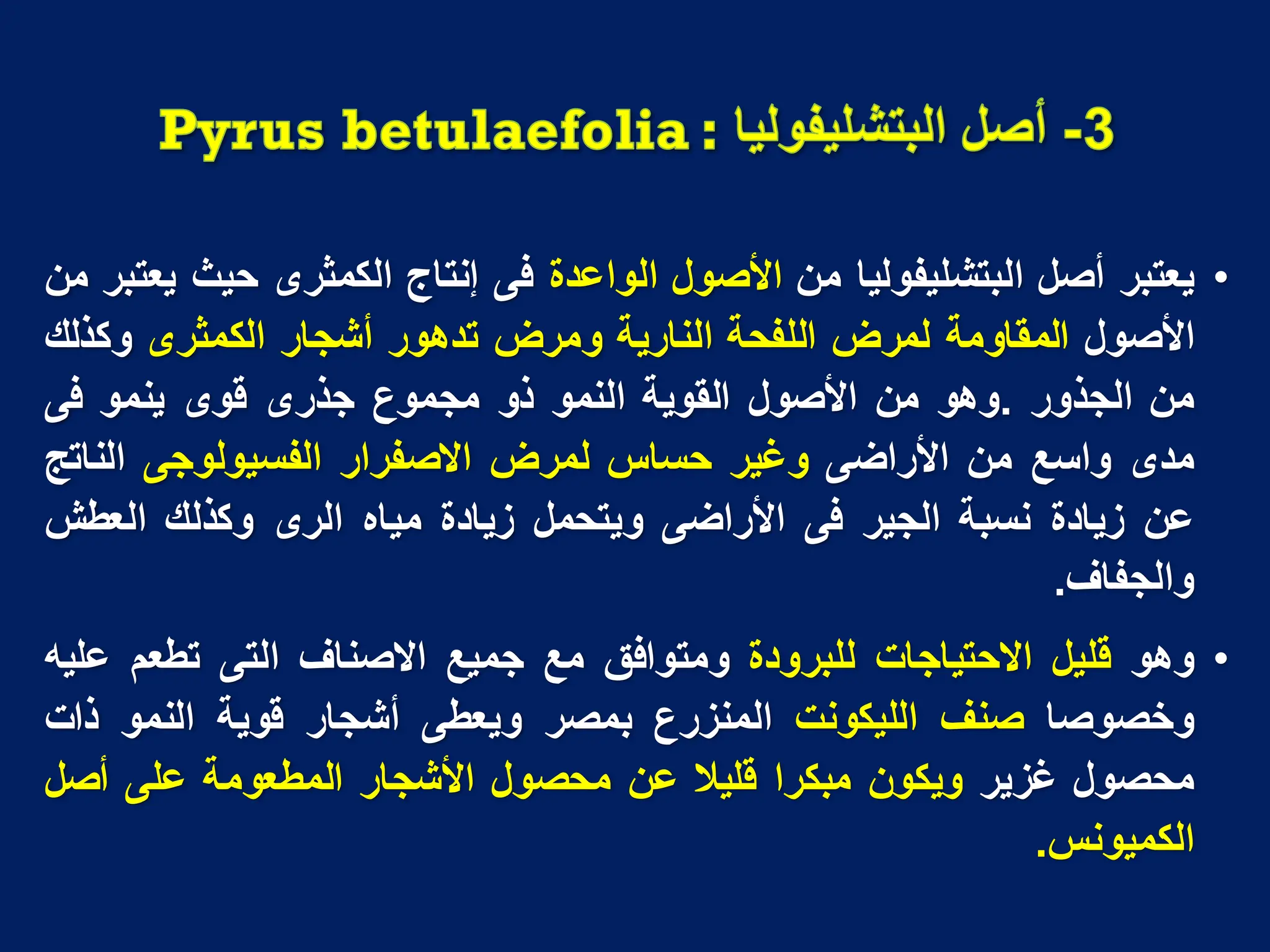 •
‫ٌعتبر‬
‫أصل‬
‫البتشلٌفولٌا‬
‫من‬
‫األصول‬
‫الواعدة‬
‫فى‬
‫إنتاج‬
‫الكمثرى‬
‫حٌث‬
‫ٌعتبر‬
‫من‬
‫األصول‬
‫المقاومة‬
‫لمرض‬
‫اللفحة‬
‫النارٌة‬
‫ومرض‬
‫تدهور‬
‫أشجار‬
‫الكمثرى‬
‫وكذلك‬
‫من‬
‫الجذور‬
.
‫وهو‬
‫من‬
‫األصول‬
‫القوٌة‬
‫النمو‬
‫ذو‬
‫مجموع‬
‫جذرى‬
‫قوى‬
‫ٌنمو‬
‫فى‬
‫مدى‬
‫واسع‬
‫من‬
‫األراضى‬
‫وؼٌر‬
‫حساس‬
‫لمرض‬
‫االصفرار‬
‫الفسٌولوجى‬
‫الناتج‬
‫عن‬
‫زٌادة‬
‫نسبة‬
‫الجٌر‬
‫فى‬
‫األراضى‬
‫وٌتحمل‬
‫زٌادة‬
‫مٌاه‬
‫الرى‬
‫وكذلك‬
‫العطش‬
‫والجفاؾ‬
.
•
‫وهو‬
‫قلٌل‬
‫االحتٌاجات‬
‫للبرودة‬
‫ومتوافق‬
‫مع‬
‫جمٌع‬
‫االصناؾ‬
‫التى‬
‫تطعم‬
‫علٌه‬
‫وخصوصا‬
‫صنؾ‬
‫اللٌكونت‬
‫المنزرع‬
‫بمصر‬
‫وٌعطى‬
‫أشجار‬
‫قوٌة‬
‫النمو‬
‫ذات‬
‫محصول‬
‫ؼزٌر‬
‫وٌكون‬
‫مبكرا‬
‫قلٌال‬
‫عن‬
‫محصول‬
‫األشجار‬
‫المطعومة‬
‫على‬
‫أصل‬
‫الكمٌونس‬
.
 