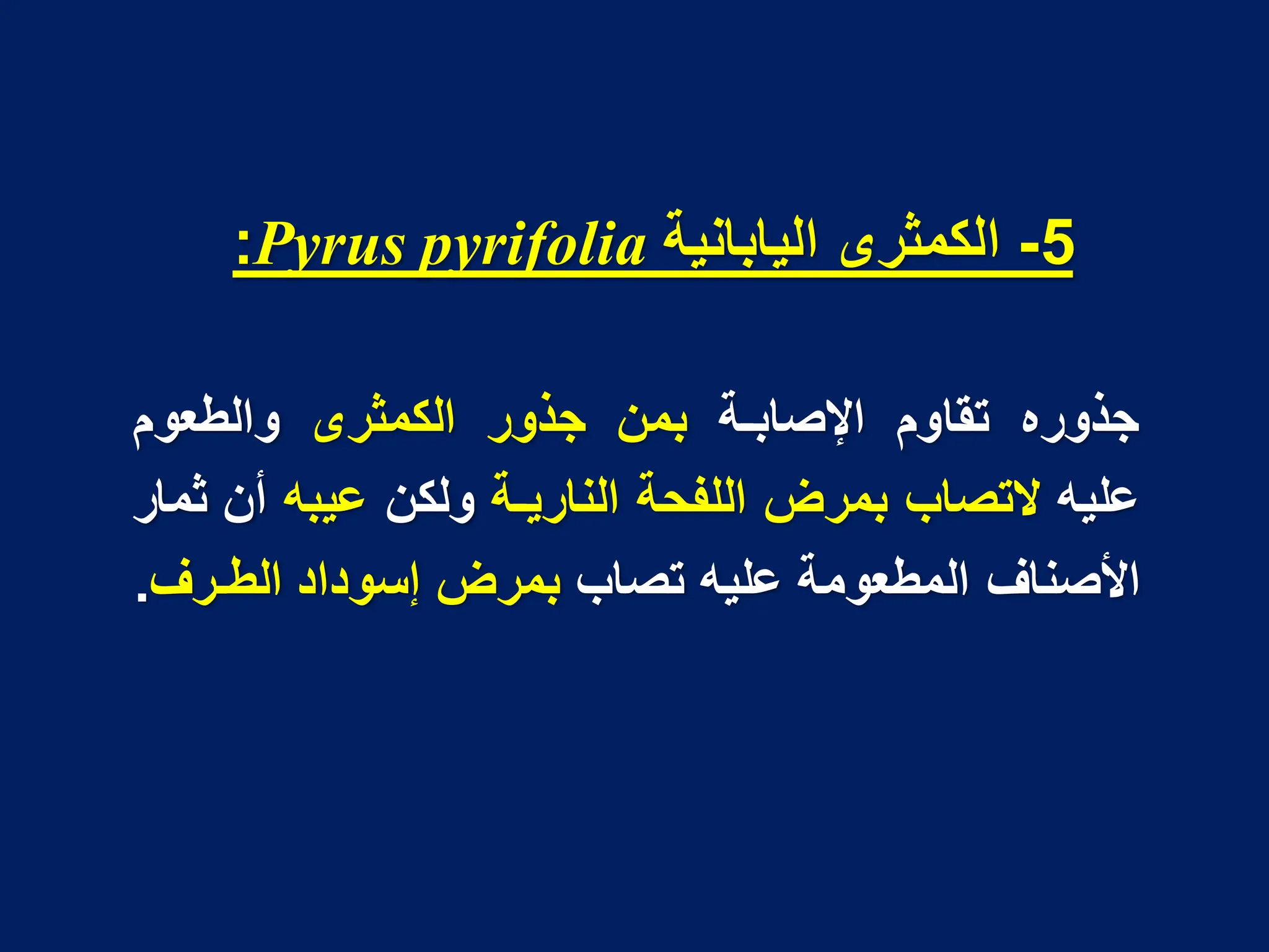 5
-
‫الٌابانٌة‬ ‫الكمثرى‬
pyrifolia
Pyrus
:
‫جذوره‬
‫تقاوم‬
‫اإلصابـة‬
‫بمن‬
‫جذور‬
‫الكمثرى‬
‫والطعوم‬
‫علٌه‬
‫التصاب‬
‫بمرض‬
‫اللفحة‬
‫النارٌـة‬
‫ولكن‬
‫عٌبه‬
‫أن‬
‫ثمار‬
‫األصناؾ‬
‫المطعومة‬
‫علٌه‬
‫تصاب‬
‫بمرض‬
‫إسوداد‬
‫الطـرؾ‬
.
 