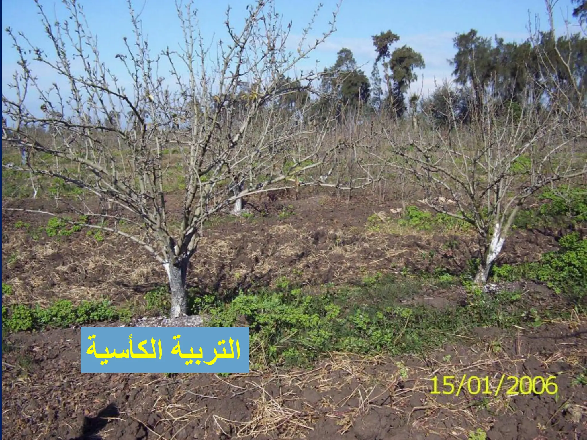 ‫الكأسٌة‬ ‫التربٌة‬
 