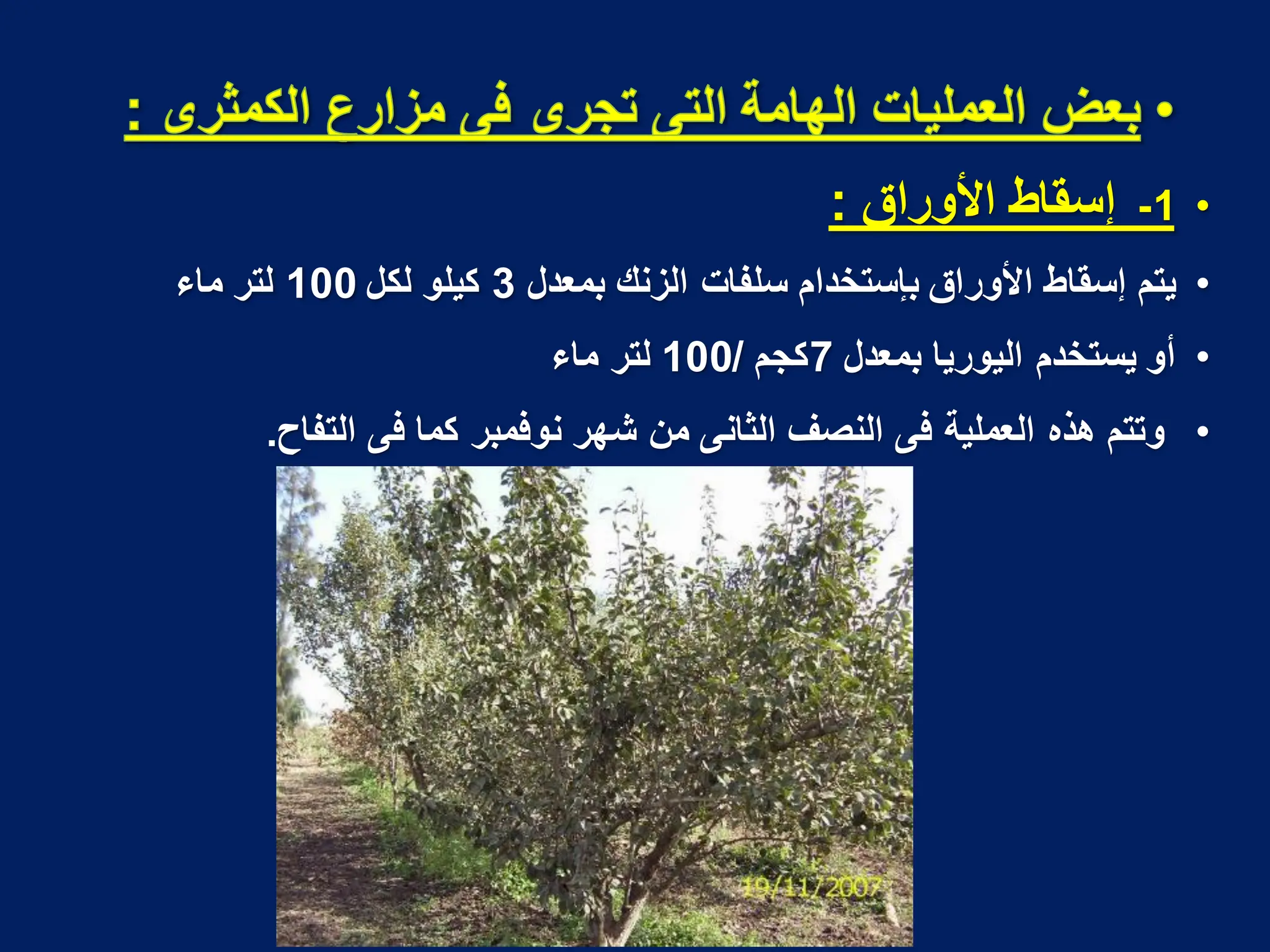 •
1
-
‫األوراق‬ ‫إسقاط‬
:
•
‫بمعدل‬ ‫الزنك‬ ‫سلفات‬ ‫بإستخدام‬ ‫األوراق‬ ‫إسقاط‬ ‫ٌتم‬
3
‫لكل‬ ‫كٌلو‬
100
‫ماء‬ ‫لتر‬
•
‫بمعدل‬ ‫الٌورٌا‬ ‫ٌستخدم‬ ‫أو‬
7
‫كجم‬
/
100
‫ماء‬ ‫لتر‬
•
‫التفاح‬ ‫فى‬ ‫كما‬ ‫نوفمبر‬ ‫شهر‬ ‫من‬ ‫الثانى‬ ‫النصؾ‬ ‫فى‬ ‫العملٌة‬ ‫هذه‬ ‫وتتم‬
.
 