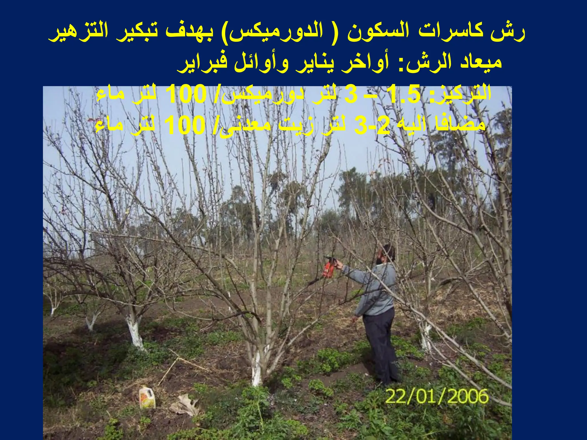 ‫السكون‬ ‫كاسرات‬ ‫رش‬
(
‫الدورمٌكس‬
)
‫التزهٌر‬ ‫تبكٌر‬ ‫بهدؾ‬
‫الرش‬ ‫مٌعاد‬
:
‫فبراٌر‬ ‫وأوائل‬ ‫ٌناٌر‬ ‫أواخر‬
‫التركٌز‬
:
1.5
–
3
‫دورمٌكس‬ ‫لتر‬
/
100
‫ماء‬ ‫لتر‬
‫الٌه‬ ‫مضافا‬
2
-
3
‫معدنى‬ ‫زٌت‬ ‫لتر‬
/
100
‫ماء‬ ‫لتر‬
 