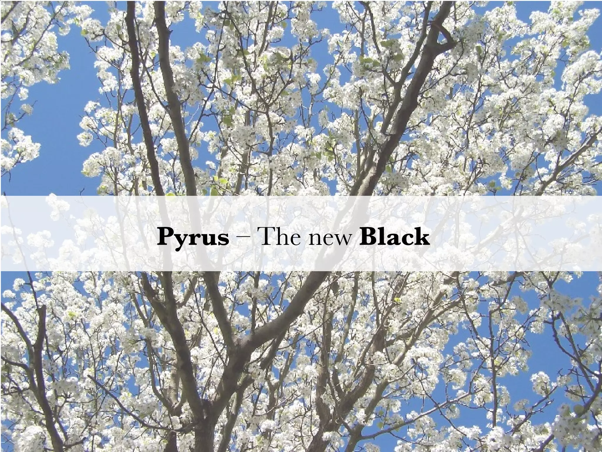 New proposal process New packages go into the Sandbox 