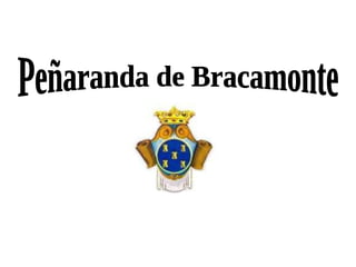 Peñaranda de Bracamonte 