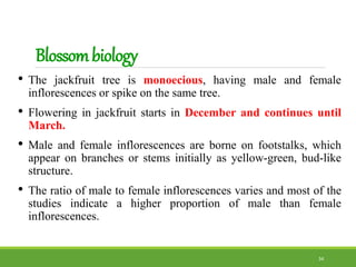 Pear and jackfruit breeding | PPTX