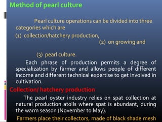 Pearl | PPT