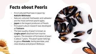Pearl Culture
