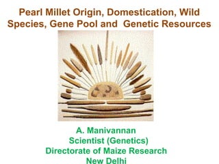 A. Manivannan
Scientist (Genetics)
Directorate of Maize Research
New Delhi
Pearl Millet Origin, Domestication, Wild
Species, Gene Pool and Genetic Resources
 