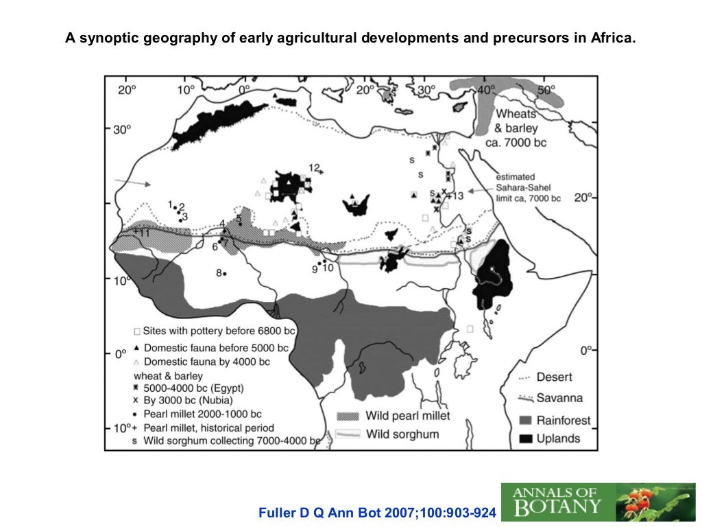 Pearl millet Origin, Domestication, Wild relatives, Gene Pool and Gen…