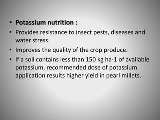 • Potassium nutrition :
• Provides resistance to insect pests, diseases and
water stress.
• Improves the quality of the crop produce.
• If a soil contains less than 150 kg ha-1 of available
potassium, recommended dose of potassium
application results higher yield in pearl millets.
 