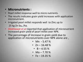 • Micronutrients :
• Pearl millet response well to micro nutrients.
• The results indicates grain yield increases with application
micronutrient.
• Irrigated pearl millet responds well to Zinc up to
25 kg Zn So₄ /ha.
• Shekhawat et al reported that application of micronutrient
increased grain yield of pearl millet over NPK.
• The percentage of increase in grain yield due to
application of micronutrients over NPK alone are ,
• Mn - 5.47 %
• Zn – 16.48 %
• B – 4.55 %
• Mo – 7.70 %
• Fe – 19.35 %
 