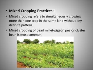• Mixed Cropping Practices :
• Mixed cropping refers to simultaneously growing
more than one crop in the same land without any
definite pattern.
• Mixed cropping of pearl millet-pigeon pea or cluster
bean is most common.
 