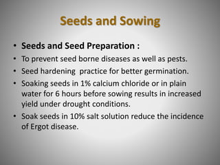 Seeds and Sowing
• Seeds and Seed Preparation :
• To prevent seed borne diseases as well as pests.
• Seed hardening practice for better germination.
• Soaking seeds in 1% calcium chloride or in plain
water for 6 hours before sowing results in increased
yield under drought conditions.
• Soak seeds in 10% salt solution reduce the incidence
of Ergot disease.
 
