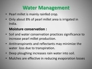 Water Management
• Pearl millet is mainly rainfed crop.
• Only about 8% of pearl millet area is irrigated in
India.
Moisture conservation :
• Soil and water conservation practices significance to
increase pearl millet production.
• Antitranspirants and reflectants may minimize the
water loss due to transpiration.
• Deep ploughing increases rain water into soil.
• Mulches are effective in reducing evaporation losses
 