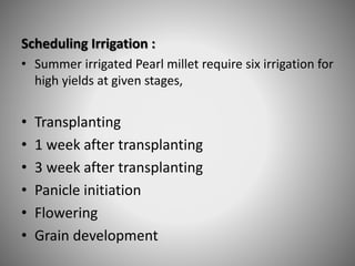 Scheduling Irrigation :
• Summer irrigated Pearl millet require six irrigation for
high yields at given stages,
• Transplanting
• 1 week after transplanting
• 3 week after transplanting
• Panicle initiation
• Flowering
• Grain development
 