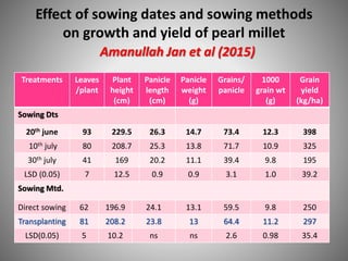 Effect of sowing dates and sowing methods
on growth and yield of pearl millet
Amanullah Jan et al (2015)
Treatments Leaves
/plant
Plant
height
(cm)
Panicle
length
(cm)
Panicle
weight
(g)
Grains/
panicle
1000
grain wt
(g)
Grain
yield
(kg/ha)
Sowing Dts
20th june 93 229.5 26.3 14.7 73.4 12.3 398
10th july 80 208.7 25.3 13.8 71.7 10.9 325
30th july 41 169 20.2 11.1 39.4 9.8 195
LSD (0.05) 7 12.5 0.9 0.9 3.1 1.0 39.2
Sowing Mtd.
Direct sowing 62 196.9 24.1 13.1 59.5 9.8 250
Transplanting 81 208.2 23.8 13 64.4 11.2 297
LSD(0.05) 5 10.2 ns ns 2.6 0.98 35.4
 