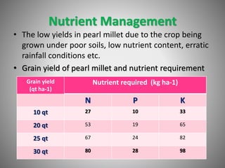 Nutrient Management
• The low yields in pearl millet due to the crop being
grown under poor soils, low nutrient content, erratic
rainfall conditions etc.
• Grain yield of pearl millet and nutrient requirement
Grain yield
(qt ha-1)
Nutrient required (kg ha-1)
N P K
10 qt 27 10 33
20 qt 53 19 65
25 qt 67 24 82
30 qt 80 28 98
 