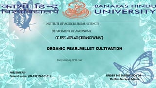 INSTITUTE OF AGRICULTURAL SCIENCES
DEPARTMENT OF AGRONOMY
COURSE-AGR-421 (ORGANIC FARMING)
PRESENTERS-
Prakash kumar (ID-19212AGC101) UNDER THE SUPERVISION OF
Dr. Ram Narayan Meena
B.sc(Hons) Ag, IV th Year
ORGANIC PEARLMILLET CULTIVATION
 
