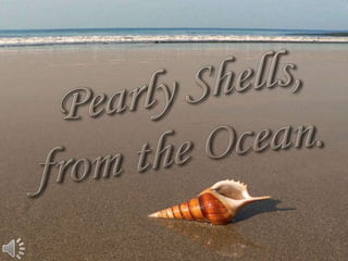 Pearly shells, from the ocean. (v.m.)