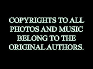 Pearly shells, from the ocean. (v.m.)