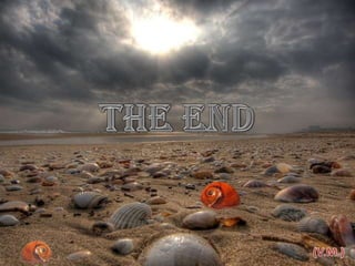 Pearly shells, from the ocean. (v.m.)