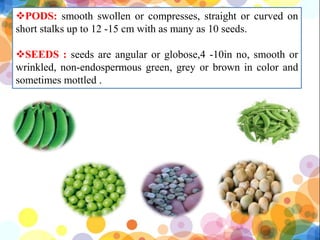 PEAS AND BEANS.pptx