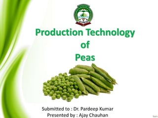 Submitted to : Dr. Pardeep Kumar
Presented by : Ajay Chauhan
Production Technology
of
Peas
 