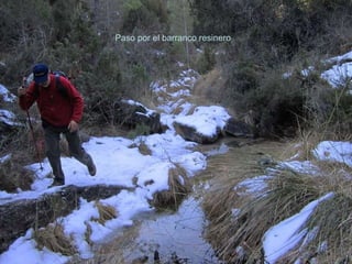 Paso por el barranco resinero 